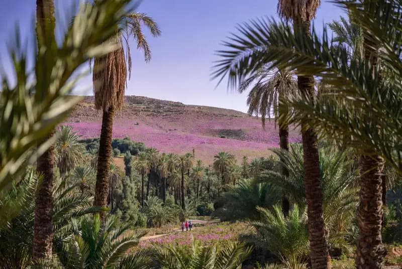 Todra & Dades Gorges Trekking — Morocco tour, photo 3