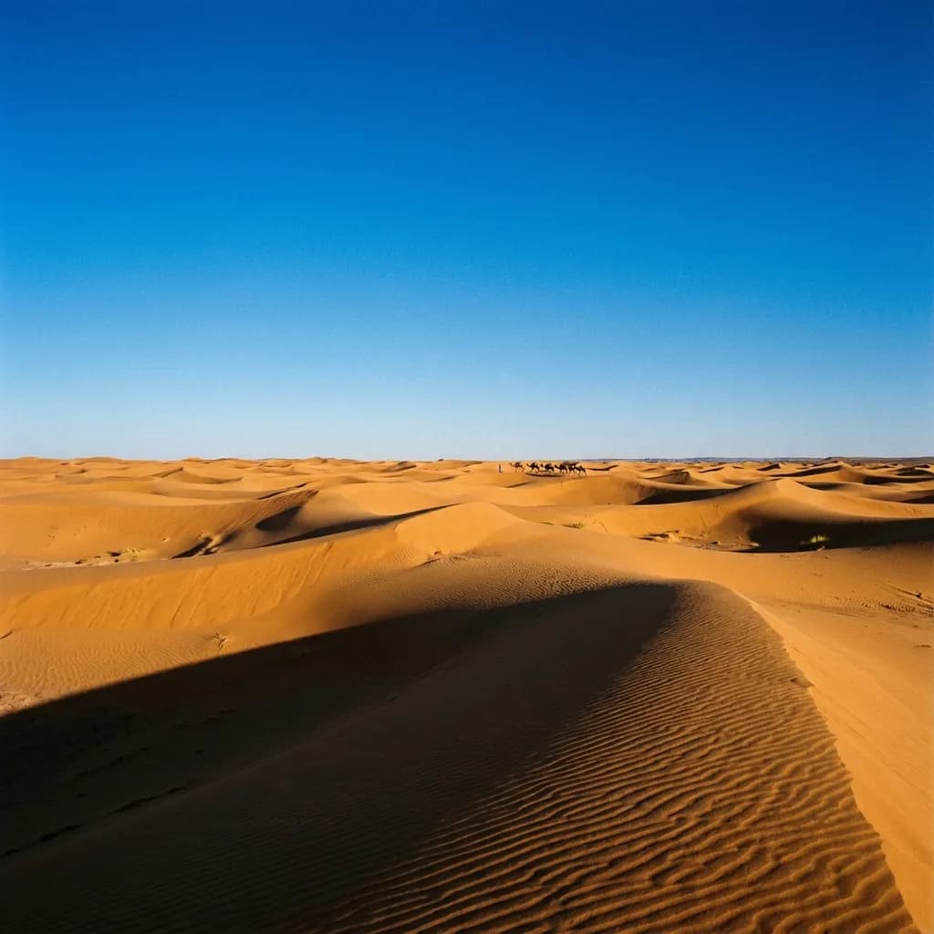 Desert Deep Dive - Morocco private tour