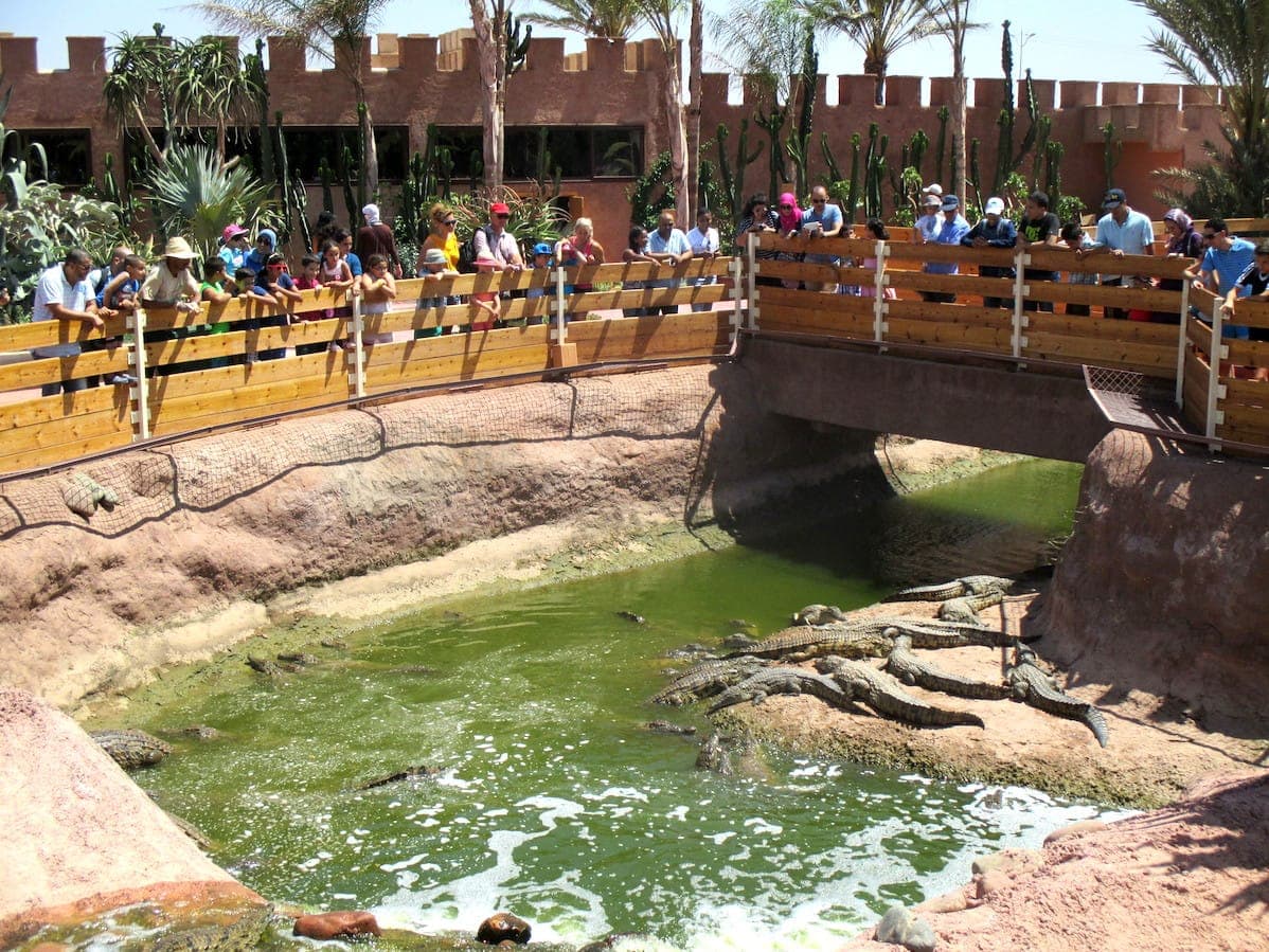 Agadir Family Beach & Paradise Valley — Morocco tour, photo 3